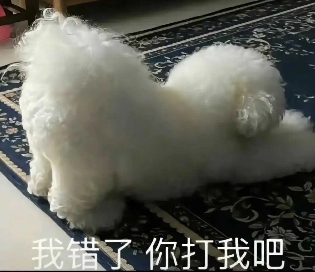 西檬之家-BDSM字母圈TK实践指南