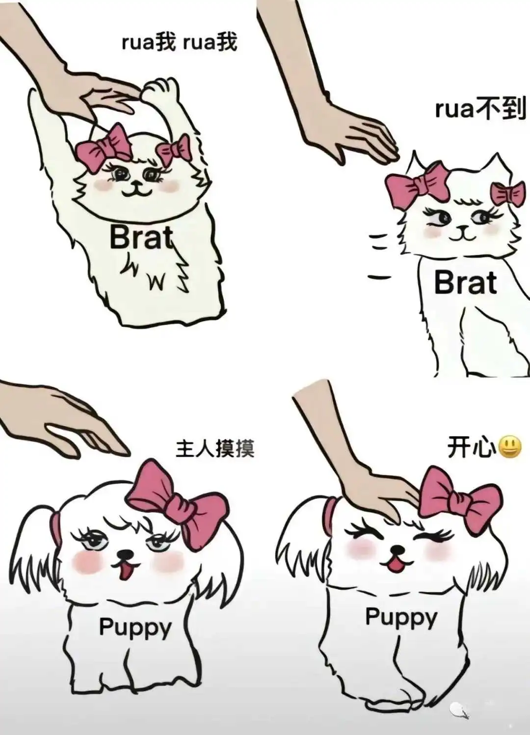 践踏癖 - 2023_12_05_21_27_IMG_9363