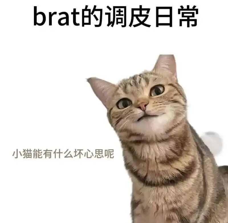 管教 - 微信图片_20251203212836_109_19