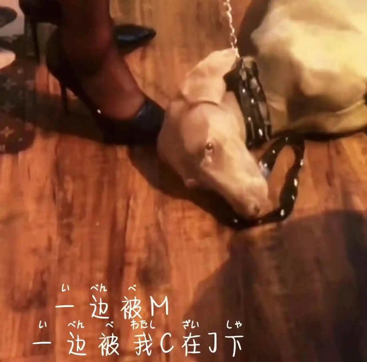 【西檬之家】字母圈新人入门：BDSM基础术语与安全意识指南