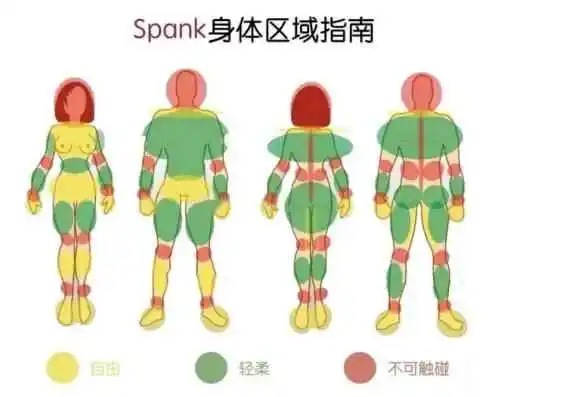 【西檬之家】字母圈的K8是什么？猫系玩法解析与入门指南