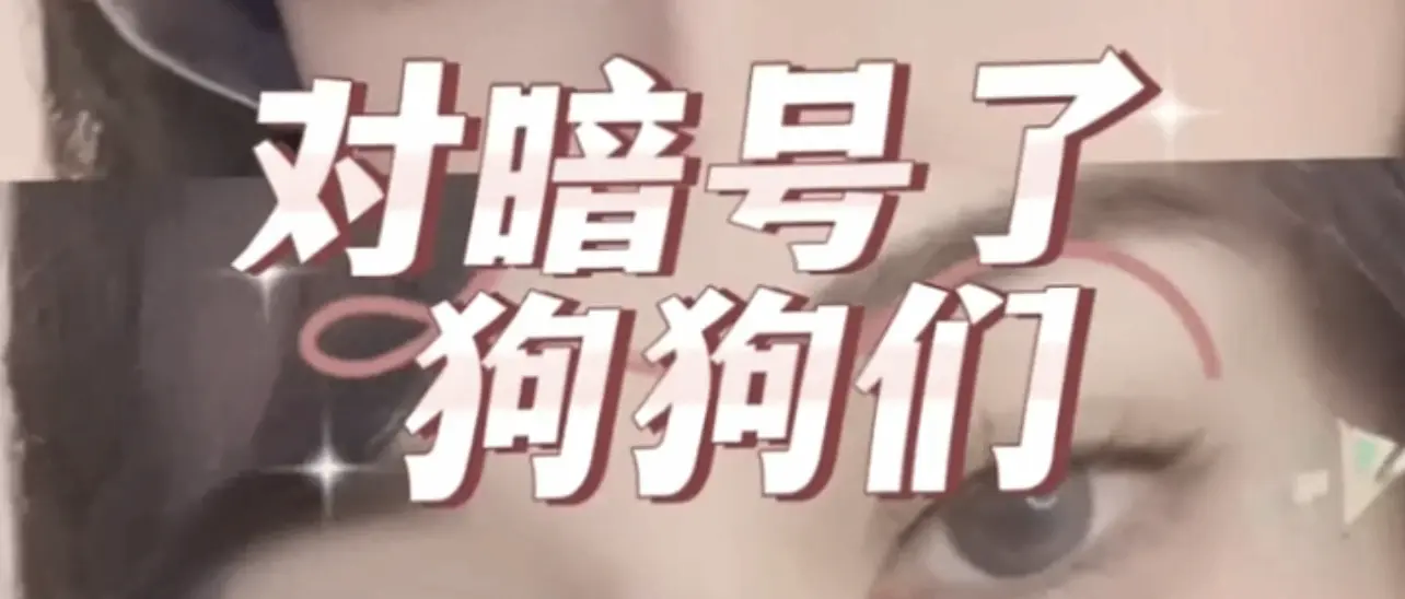 【西檬之家】K8是什么？字母圈新人必知的猫系角色指南