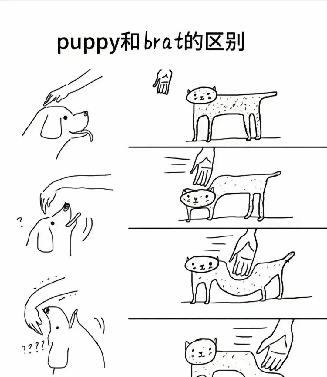 西檬之家-小圈和大圈有什么区别？新人如何理解BDSM？