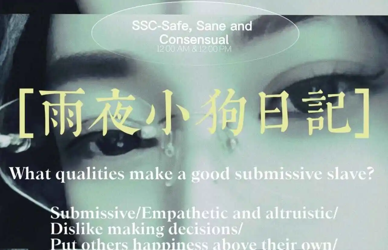 s属性：实用指南